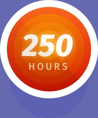 250 Hours Flight icon badge